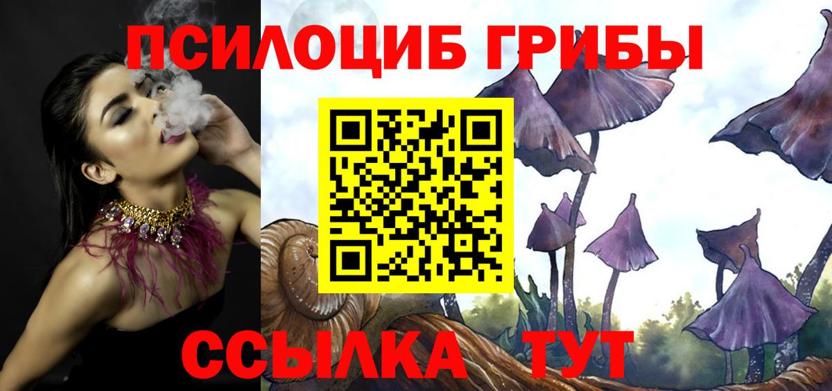 Псилоцибиновые грибы мухоморы Фрязино